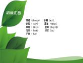 《離太陽(yáng)最近的樹》課件  高教版中職語(yǔ)文基礎(chǔ)模塊上冊(cè)