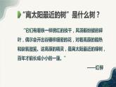 【中職專用】高中語文 高教版·基礎(chǔ)模塊上冊(cè)  第6課 《離太陽最近的樹》（課件）