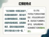 【中職專用】高中語文 高教版·基礎(chǔ)模塊上冊(cè)  第6課 《離太陽最近的樹》（課件）