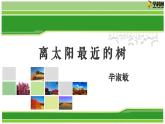 六  《離太陽(yáng)最近的樹》教學(xué)課件-【中職專用】高一語(yǔ)文同步教學(xué)精品課件（高教版·基礎(chǔ)模塊上冊(cè)）