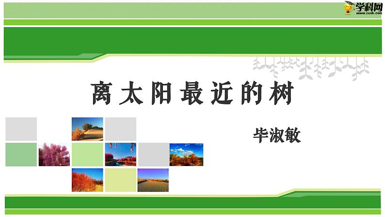 六  《离太阳最近的树》教学课件-【中职专用】高一语文同步教学精品课件（高教版·基础模块上册）第1页
