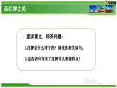 六  《離太陽(yáng)最近的樹》教學(xué)課件-【中職專用】高一語(yǔ)文同步教學(xué)精品課件（高教版·基礎(chǔ)模塊上冊(cè)）