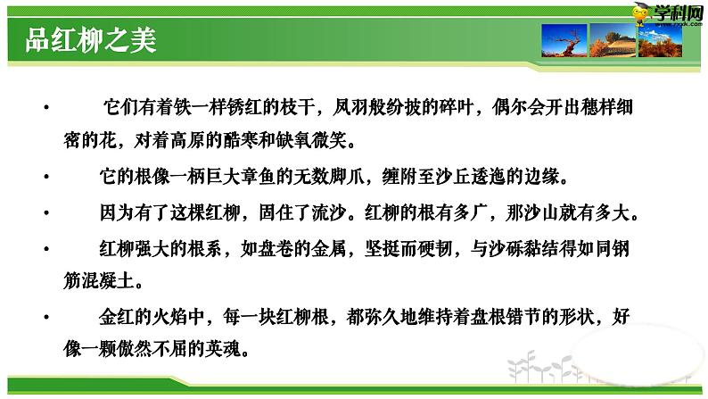 六  《离太阳最近的树》教学课件-【中职专用】高一语文同步教学精品课件（高教版·基础模块上册）第6页