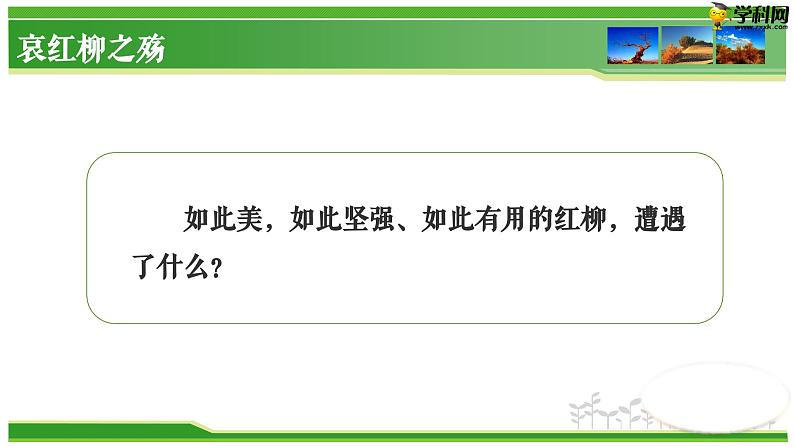 六  《离太阳最近的树》教学课件-【中职专用】高一语文同步教学精品课件（高教版·基础模块上册）第7页