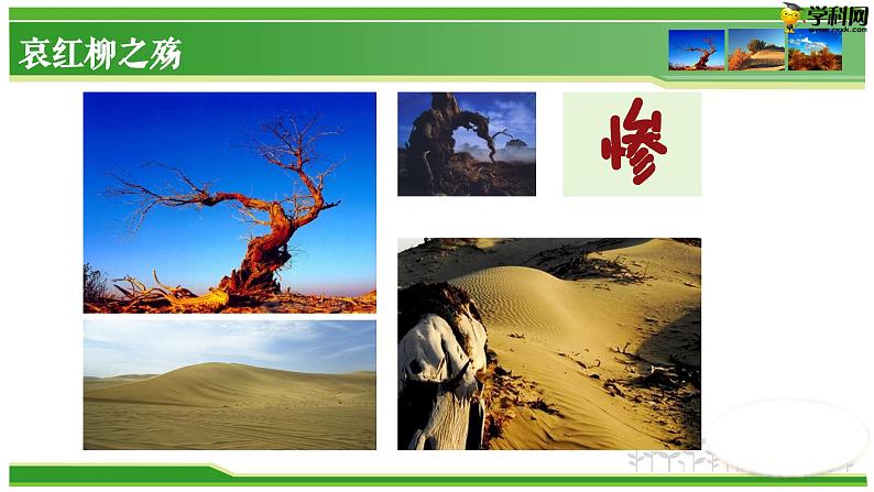 六  《离太阳最近的树》教学课件-【中职专用】高一语文同步教学精品课件（高教版·基础模块上册）第8页