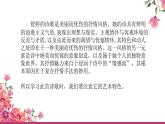 【中职专用】高中语文 高教版·基础模块上册 二《爱情诗二首—致橡树》 （课件）