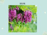 【中職專用】高中語文 高教版·基礎(chǔ)模塊上冊(cè) 八《窗前的樹》 （課件）