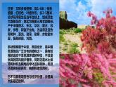【中職專用】高中語文 高教版·基礎(chǔ)模塊上冊(cè) 六《離太陽最近的樹》 （課件）