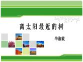 【中職專用】高中語文 高教版·基礎(chǔ)模塊上冊(cè)   六  《離太陽最近的樹》教學(xué)課件
