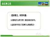 【中職專用】高中語文 高教版·基礎(chǔ)模塊上冊(cè)   六  《離太陽最近的樹》教學(xué)課件