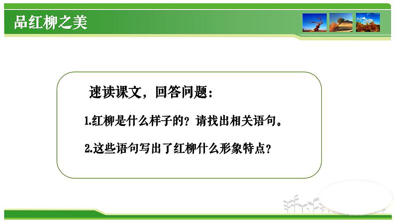 【中职专用】高中语文 高教版·基础模块上册   六  《离太阳最近的树》教学课件03