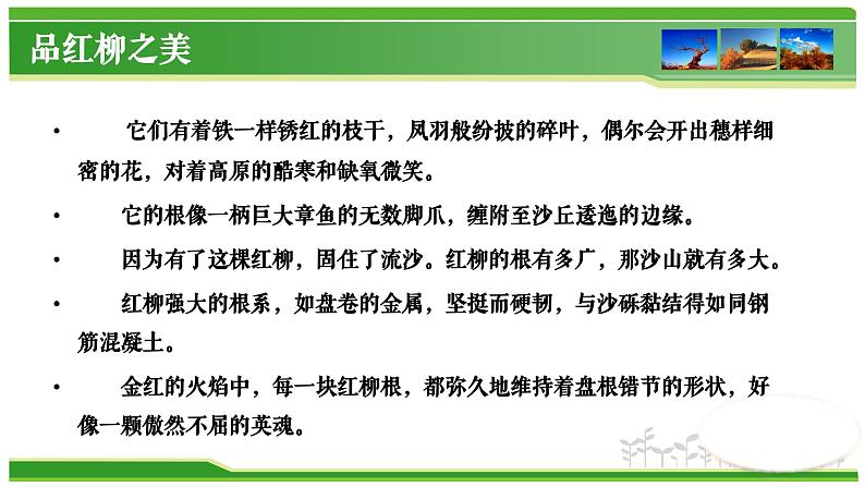 【中职专用】高中语文 高教版·基础模块上册   六  《离太阳最近的树》教学课件06