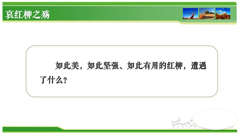 【中职专用】高中语文 高教版·基础模块上册   六  《离太阳最近的树》教学课件07