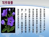 【高教版】中職語文拓展模塊：第2課《廢墟的召喚》ppt課件（3）