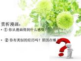 【高教版】中职语文拓展模块：《抓住属于自己的美丽》ppt课件
