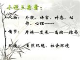 【高教版】中职语文拓展模块：第11课《祝福》ppt课件（2）
