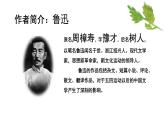一《祝福》课件