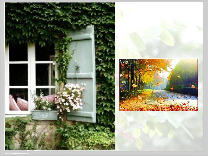 8 《窗前的树》课件 高教版中职语文基础模块上册02