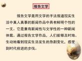 《国家的儿子》课件