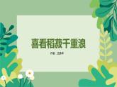 《喜看稻菽千层浪——记首届国家最高科学奖获得者袁隆平》课件