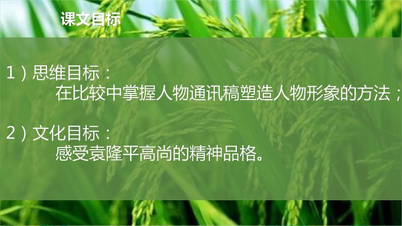 《喜看稻菽千层浪——记首届国家最高科学奖获得者袁隆平》课件02