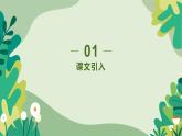 《喜看稻菽千层浪——记首届国家最高科学奖获得者袁隆平》课件