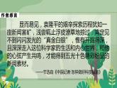 《喜看稻菽千层浪——记首届国家最高科学奖获得者袁隆平》课件