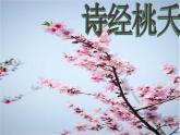 《诗经.桃夭》课件 高教版中职语文基础模块下册