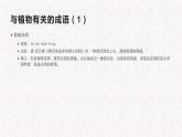 成语学习课件