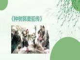 《种树郭橐驼传》课件 高教版（2023）中职语文基础模块上册