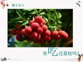 《南州六月荔枝丹》课件【中职专用】高二语文（高教版2023职业模块）
