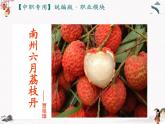 《南州六月荔枝丹》课件【中职专用】高二语文（高教版2023职业模块）