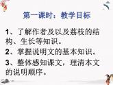 《南州六月荔枝丹》课件【中职专用】高二语文（高教版2023职业模块）