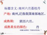 《南州六月荔枝丹》课件【中职专用】高二语文（高教版2023职业模块）