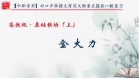 【重点课文复习】2024年中职高考语文 一轮复习之重点篇目 16.《金大力》-讲练课件