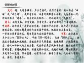【重点课文复习】2024年中职高考语文 一轮复习之重点篇目 1.《沁园春长沙》-讲练课件