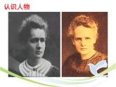 中职语文人教版基础职业模块上册第一单元第一课 《跨越百年的美丽》课件PPT