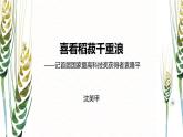 《喜看稻菽千重浪——记首届国家最高科技奖获得者袁隆平》PPT课件