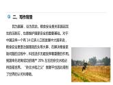 《喜看稻菽千重浪——记首届国家最高科技奖获得者袁隆平》PPT课件