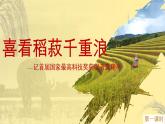 统编版语文《喜看稻菽千重浪》PPT课件