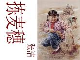 4《拣麦穗》课件 语文版中职语文基础模块上册