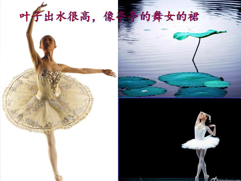 《荷塘月色》课件08