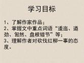 《離太陽(yáng)最近的樹》課件