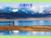 《離太陽(yáng)最近的樹》課件