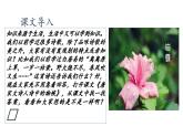 第7.1课《唐宋大诗人诗中的物候》（课件）-【中职专用】高二语文同步精品课件（高教版2023·职业模块）