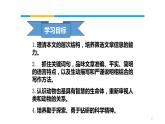 _《动物游戏之谜》（课件）-【中职专用】高二语文同步精品课件（高教版2023·职业模块）