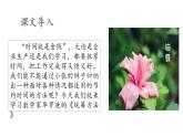 第7.3课《统筹方法》（课件）-【中职专用】高二语文同步精品课件（高教版2023·职业模块）