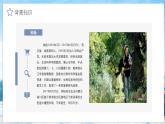 中职语文部编高教版2023职业模块1.3《探界者钟杨》教学课件ppt