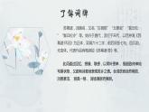 部编高教版2023+中职语文+ 职业模块古诗词诵读 苏幕遮（燎沉香）-课件