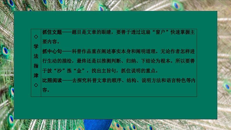 中职语文部编版2023职业教育模块第七单元《动物游戏之谜》授课课件第6页